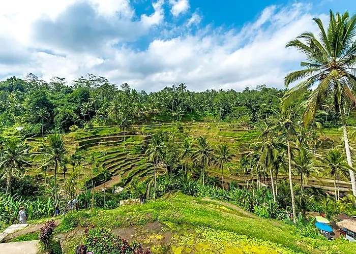 Danakha Ubud Hotel 4*